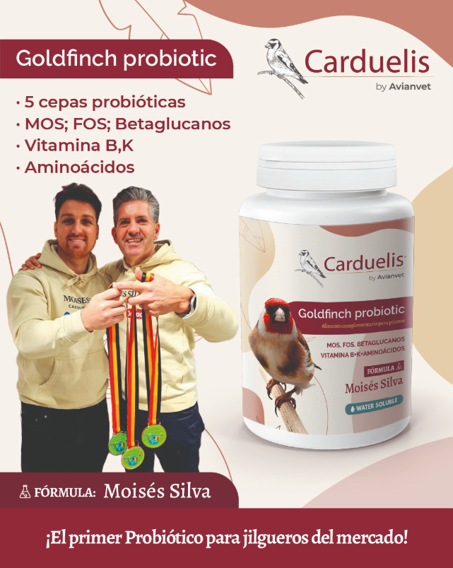 Beta Glucans
